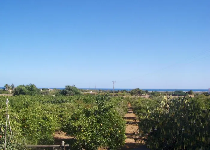 Casa Tipica No Campo Luz de Tavira