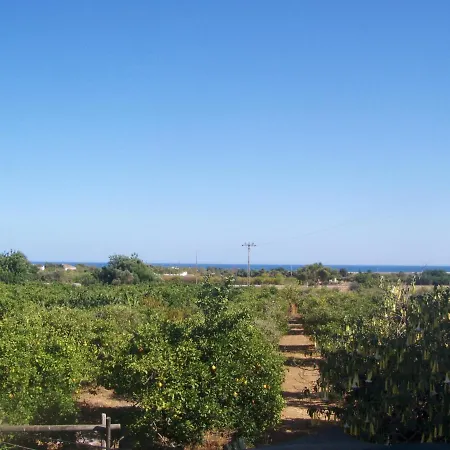 Casa Tipica No Campo Luz de Tavira