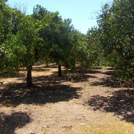 Casa Típica No Campo